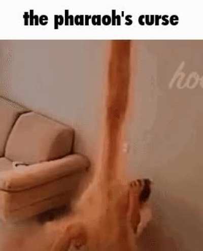 The curse