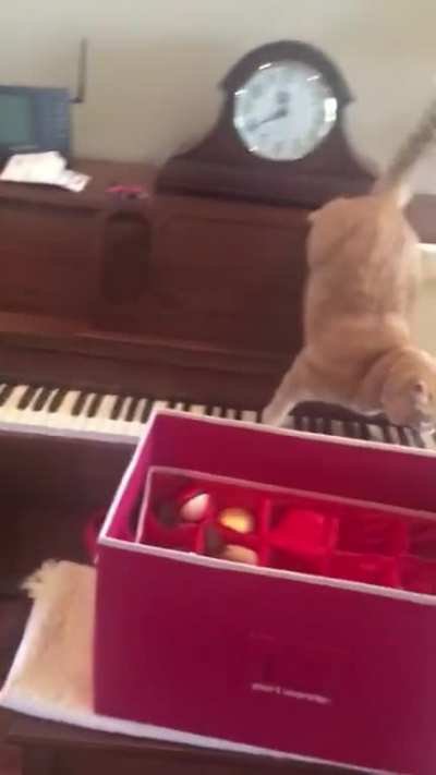 Pianos sure are terrifying