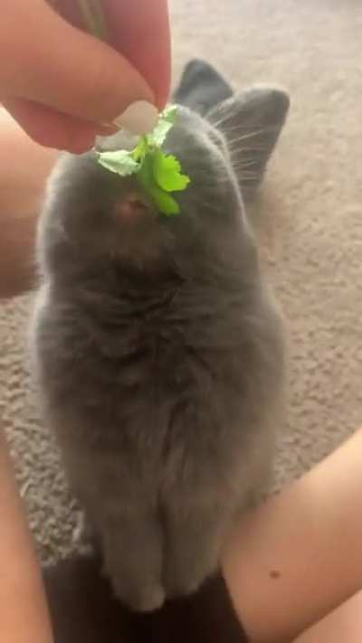 His little mouth