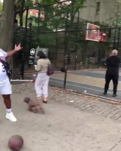 Only in NYC 🤣