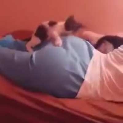 Kittens hurt