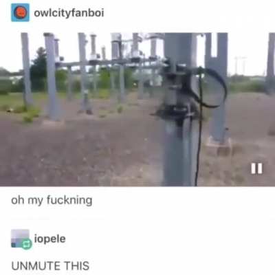 AAAAAAAAAAAAAA