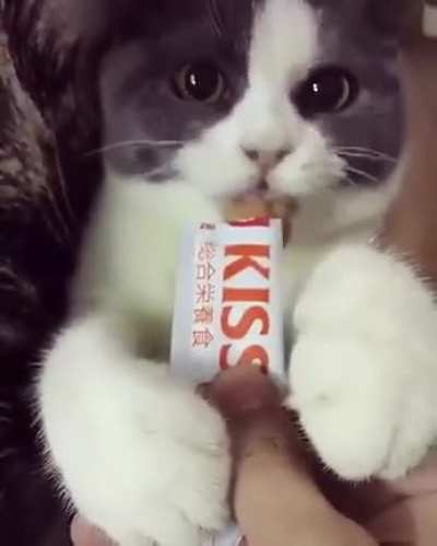 MORE SNACKOS