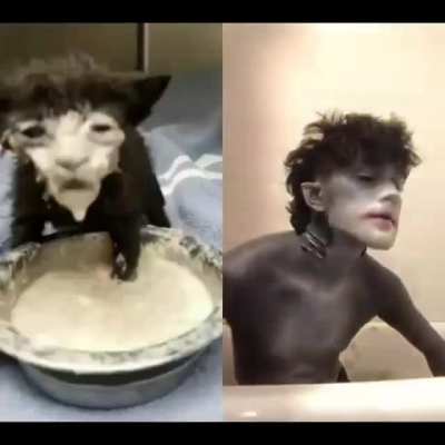 too identical