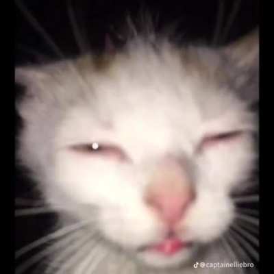 squint your eyes