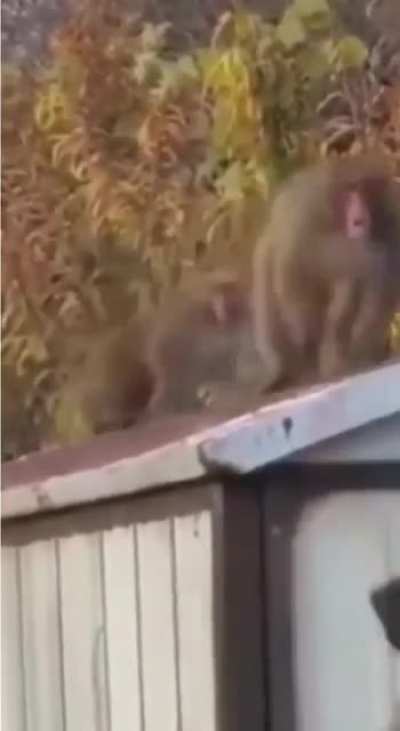 Do you mind giving us a little privacy