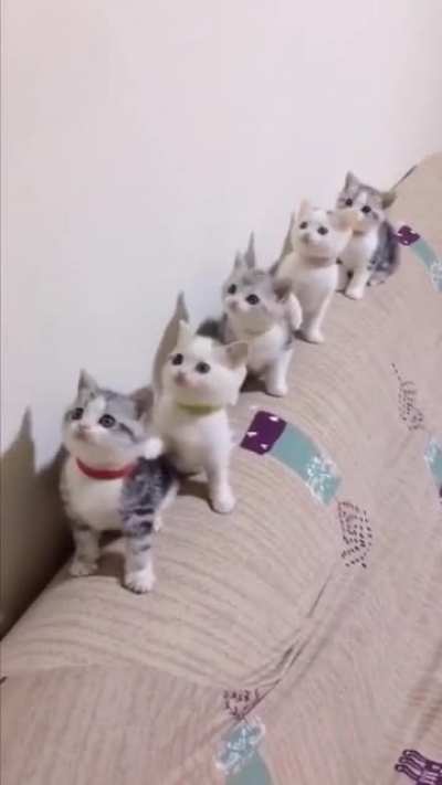 All together now guys