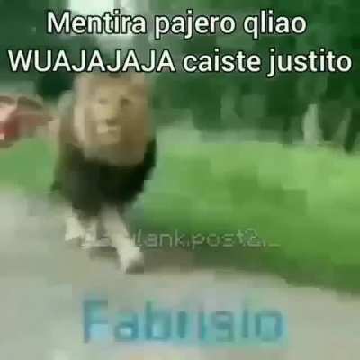 Que tetas señorita