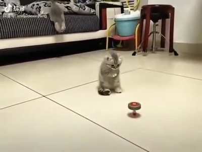 Ayo don't touch that
