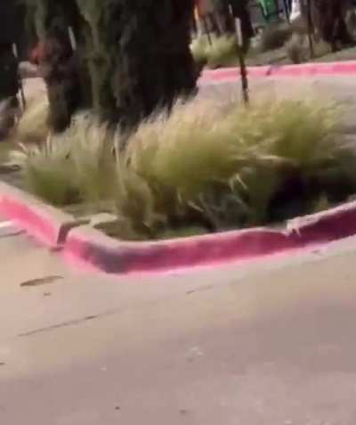Gunshots can be heard following reports of an active shooting at Allen Premium Outlet Mall in Allen, Texas. Reports of multiple casualties.