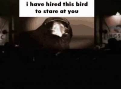 birg