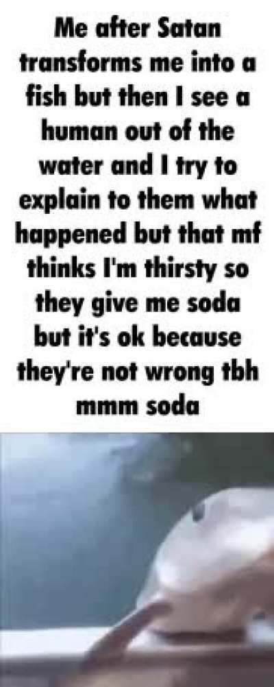 tf🐟🥤irl