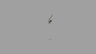 Zoro animation