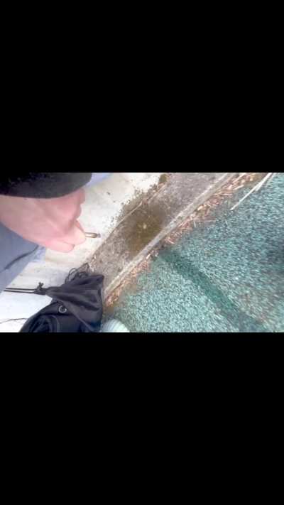 Part 2 of park pee