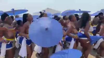 Reed dance
