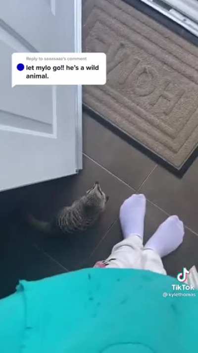 Let Mylo go