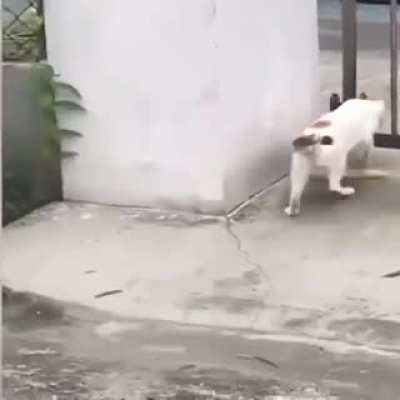 '' Work harder not smarter ''