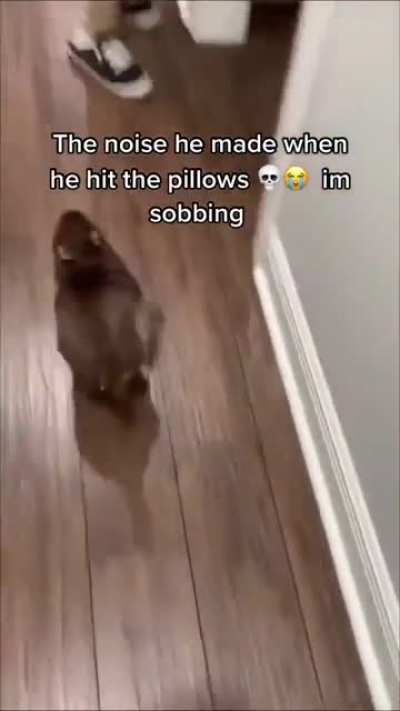 bonk