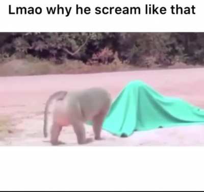 life flashed before his eyes