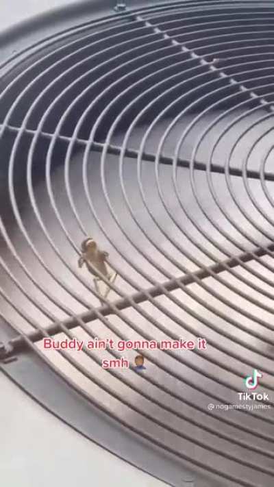 На волоске
