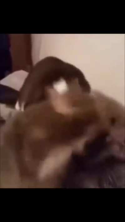 AhhH!