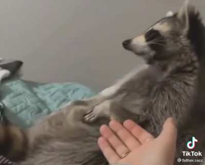 🥺