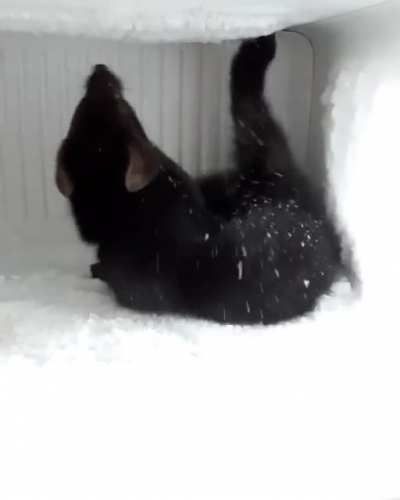 Хазяи<wbr>на! Шуба, однако, большая нарос<wbr>ла!