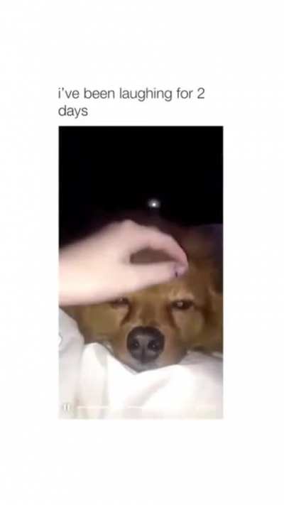 Petting a demon