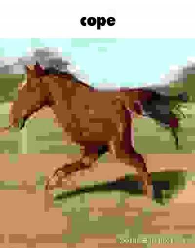Rule