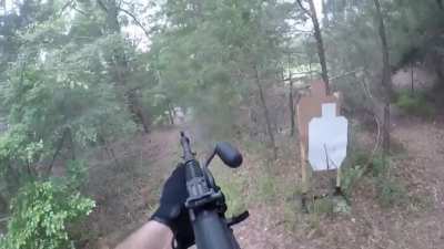 My AR never shot a tree down. (AES10B)