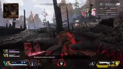 bloodhound be like