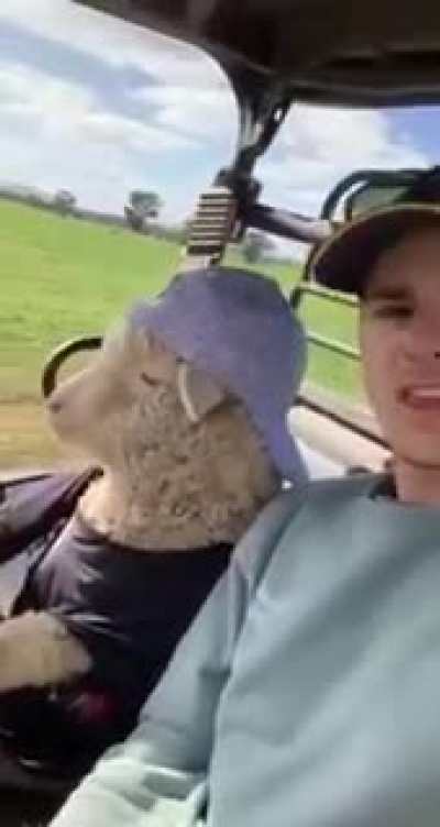За рулём...