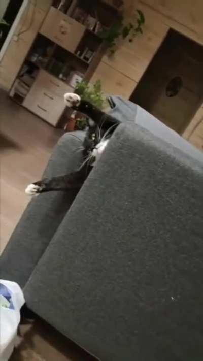 Sofa so good
