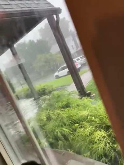 My friends got footage of their roommate trying to parallel park, which she hates doing.
