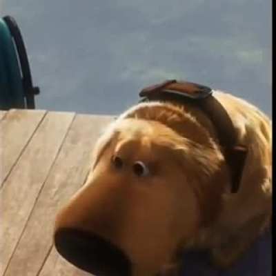 No