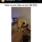 Scream no evil