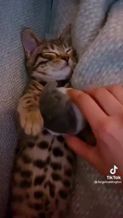 Innocence
