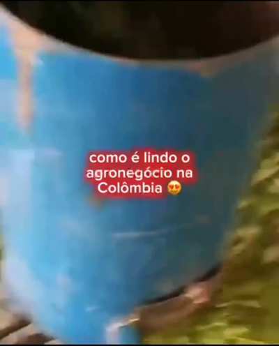 🤠