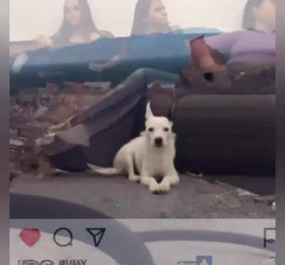 Real