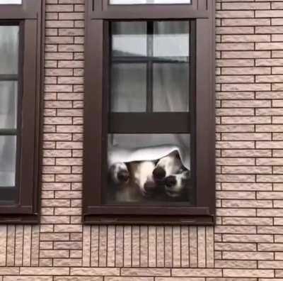 I've got really nosy neighbours!