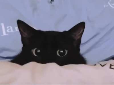 Planning an attack
