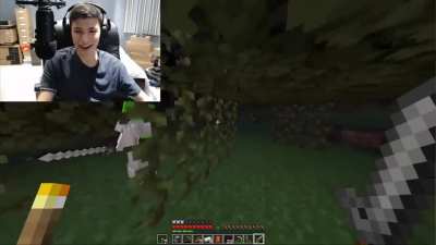 evil enderman