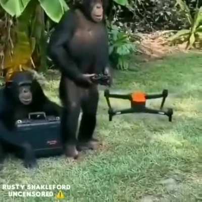 Monke !