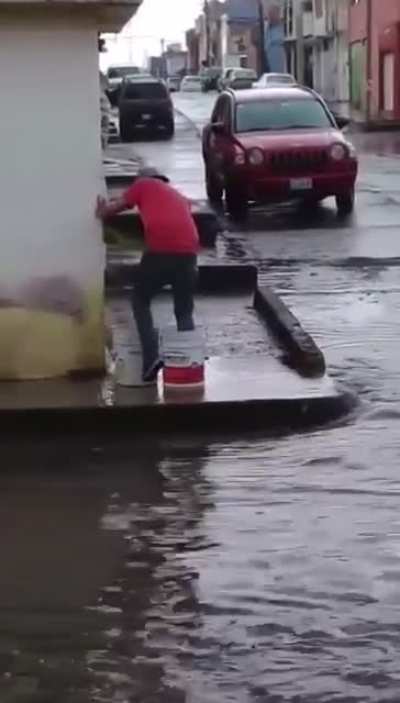 Ingenuity
