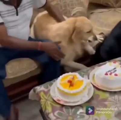 It was just an act