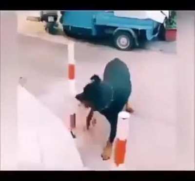 Poor guy