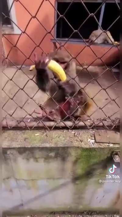 Banana😡😡😡