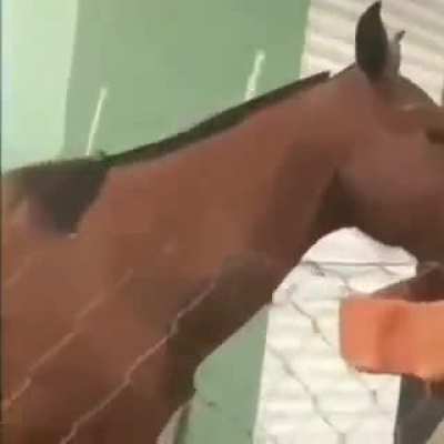 👉👈