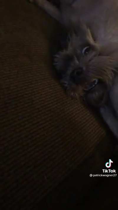 That face