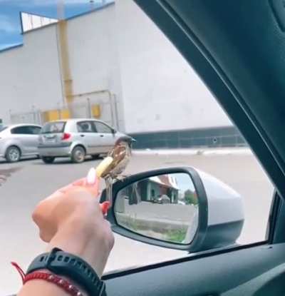 This is Sparta!
